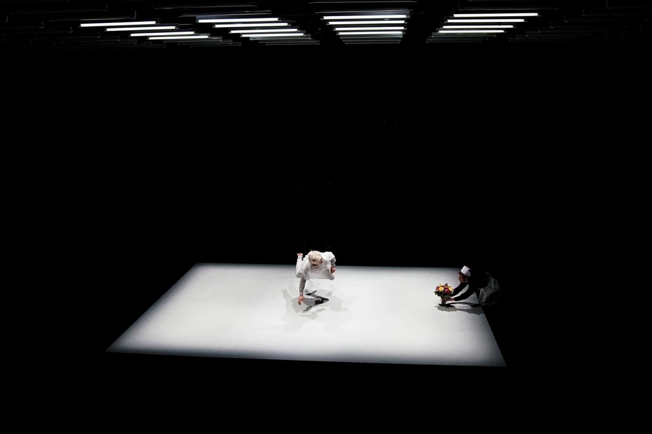 Wings Young Vic Theatre 2017